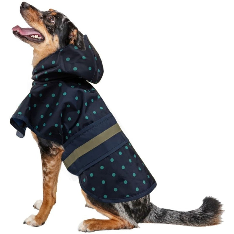 Polka Dot Raincoat