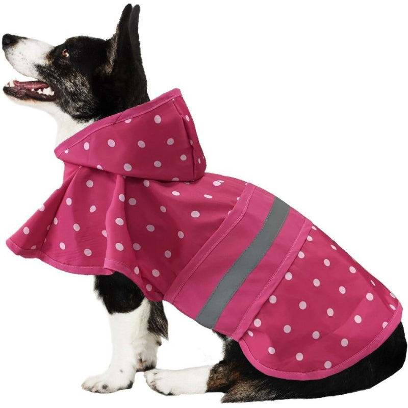 Polka Dot Raincoat